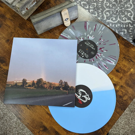 Summerbruise - The View Never Changes LP Vinyl